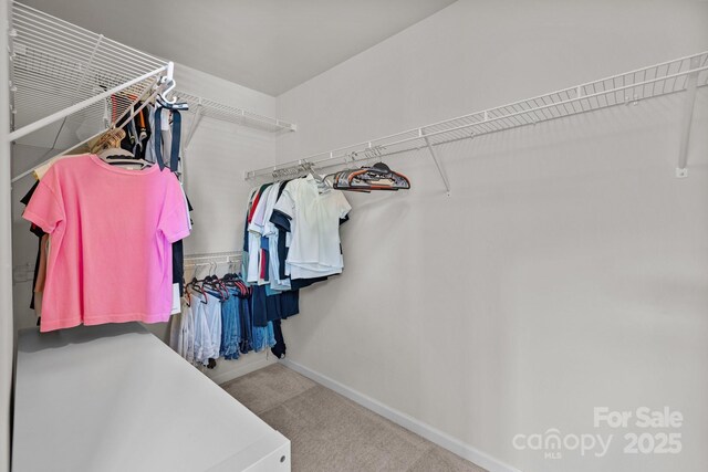 1300 Yellow Springs Dr, Indian Land, SC 29707 - spacious closet with carpet floors