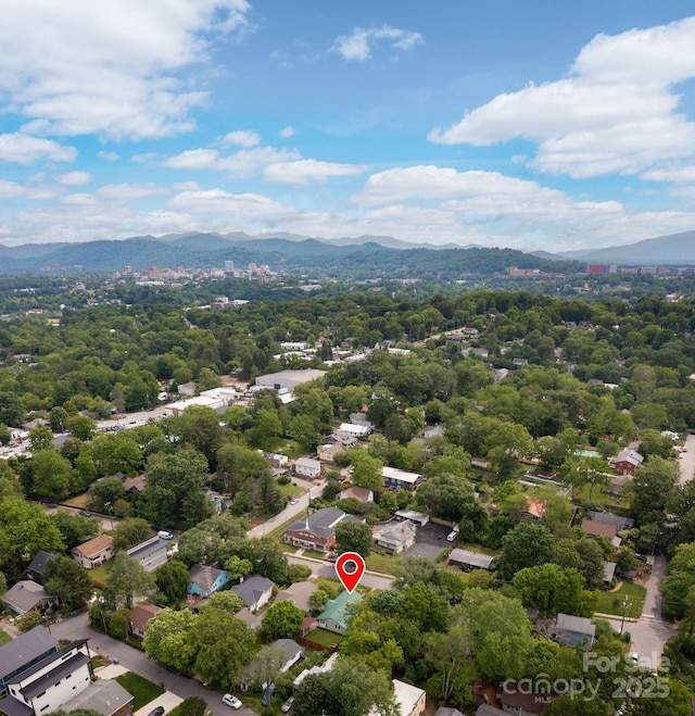 41 Michigan Ave, Asheville, NC 28806 - photo 35