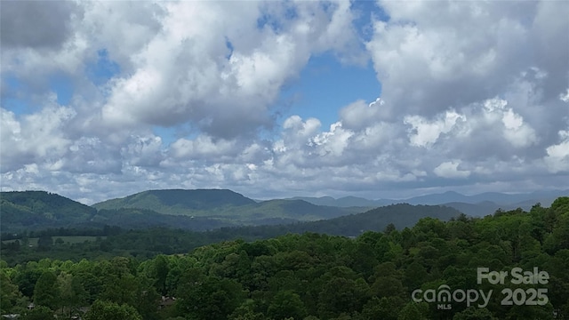 4471 Cove Loop Rd, Hendersonville, NC 28739 - view of mountain background with a forest