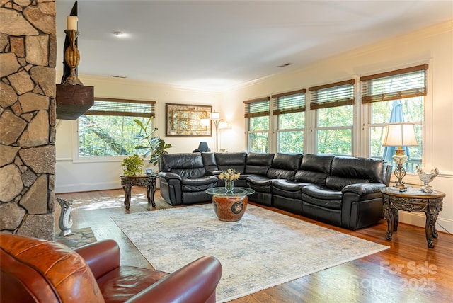 75 Cougar Ln, Saluda, NC 28773 - living room with plenty of natural light, crown molding, baseboards, and wood finished floors