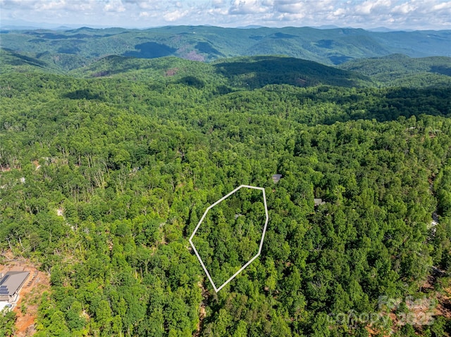 75 Cougar Ln, Saluda, NC 28773 - aerial overview of property's location featuring a heavily wooded area, property parcel outlined, and a mountain backdrop
