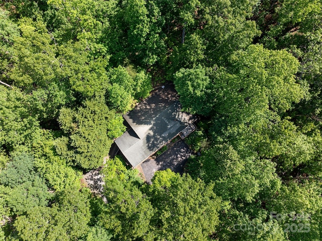 75 Cougar Ln, Saluda, NC 28773 - view from above of property
