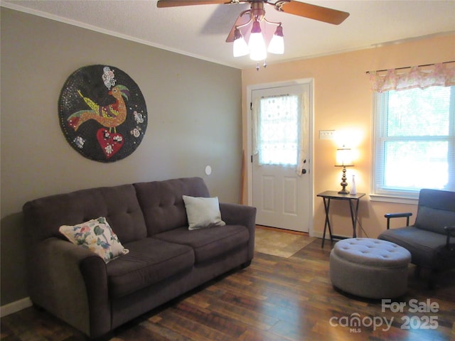 1051 S Brady Ave, Newton, NC 28658 - living room featuring a ceiling fan, wood finished floors, healthy amount of natural light, and ornamental molding