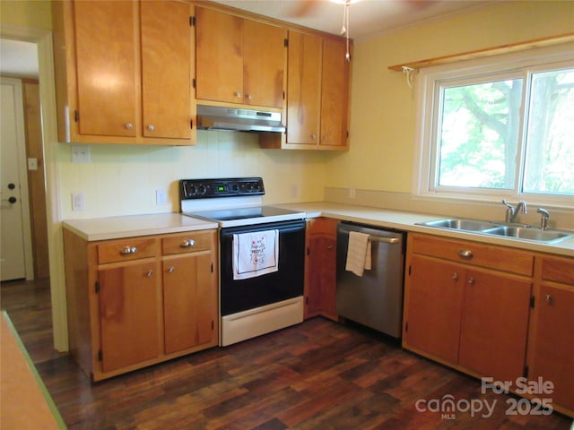 1051 S Brady Ave, Newton, NC 28658 - kitchen with stainless steel dishwasher, electric stove, under cabinet range hood, a sink, and dark wood-style floors