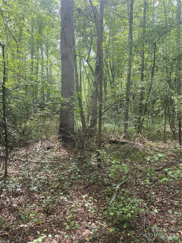 0 Walls Church Rd, Bostic, NC 28018