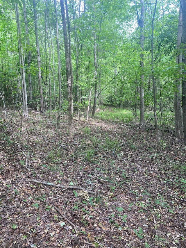 0 Walls Church Rd, Bostic, NC 28018