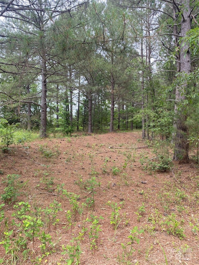 0 Walls Church Rd, Bostic, NC 28018