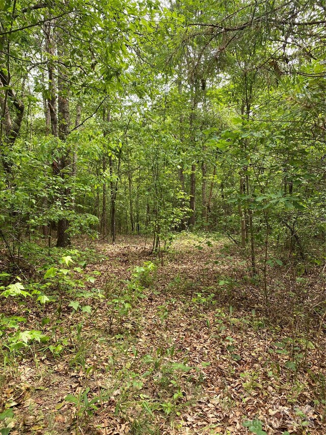 0 Walls Church Rd, Bostic, NC 28018