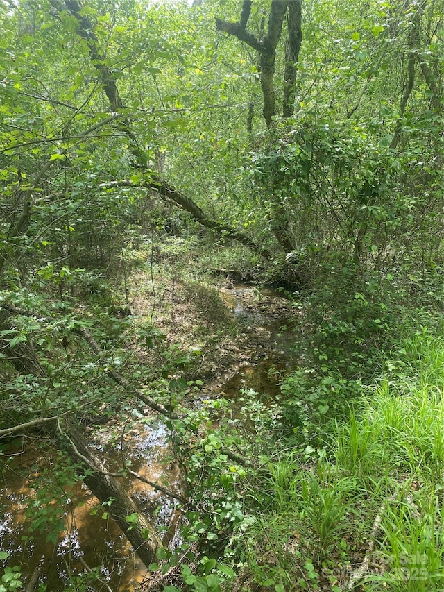 0 Walls Church Rd, Bostic, NC 28018