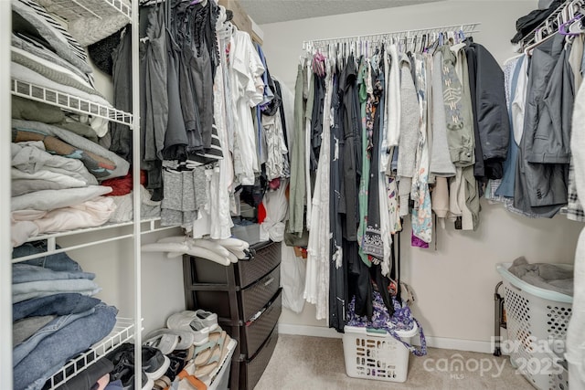 4712 Avalon Forest Ln, Charlotte, NC 28269 - spacious closet with carpet flooring