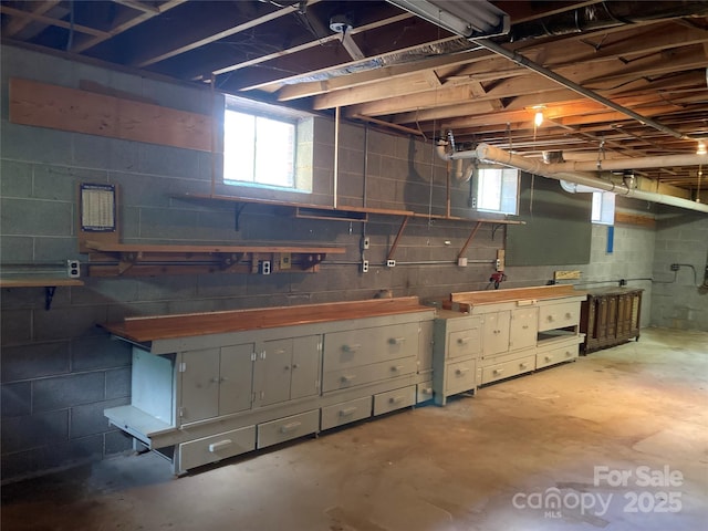 1614 Statesville Blvd, Salisbury, NC 28144 - below grade area featuring a workshop area