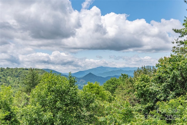 1706 Rock House Cove Rd, Clyde, NC 28721 - mountain view featuring a forest