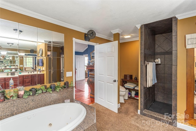 1706 Rock House Cove Rd, Clyde, NC 28721 - full bathroom with a shower stall, a whirlpool tub, vanity, toilet, and crown molding
