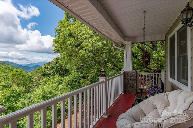 1706 Rock House Cove Rd, Clyde, NC 28721 - view of balcony