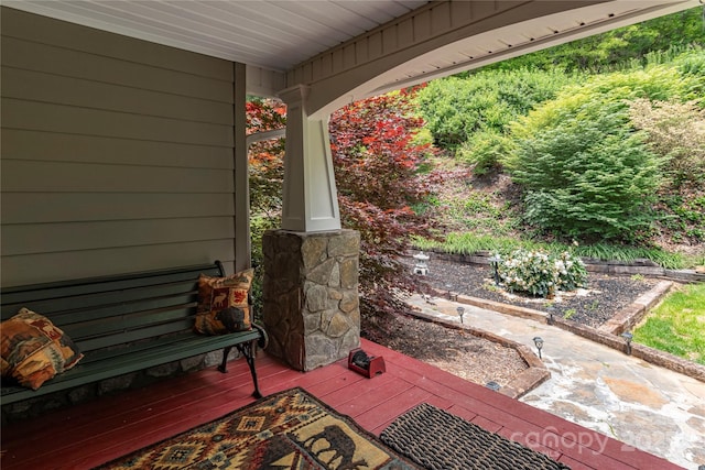 1706 Rock House Cove Rd, Clyde, NC 28721 - view of patio