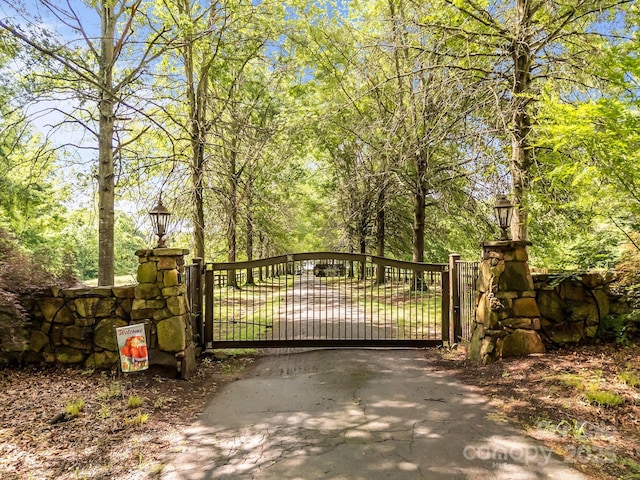 1433 Kern Carlton Rd, Salisbury, NC 28146 - view of gate