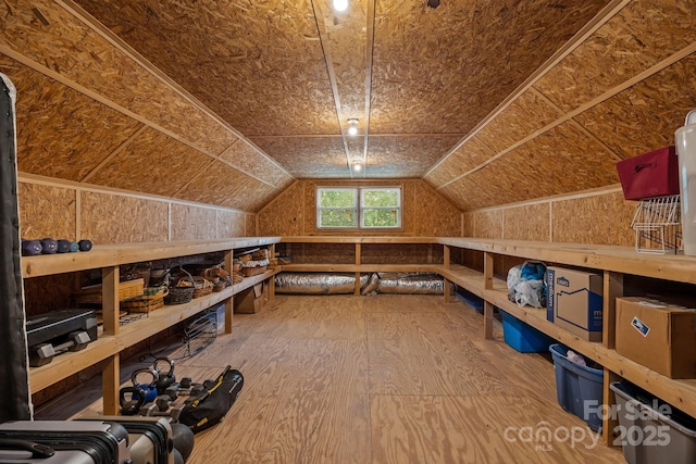 1433 Kern Carlton Rd, Salisbury, NC 28146 - bonus room featuring lofted ceiling and a sauna / steam room