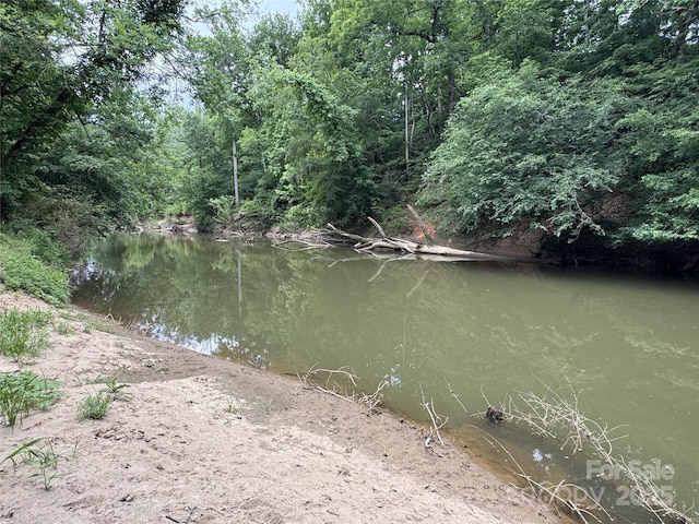 509 Waring Ct Lot 4, Fort Mill, SC 29707 - water view featuring a forest