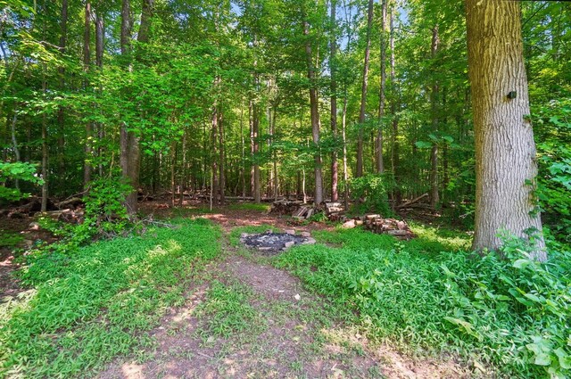 7006 Nesbit Rd, Waxhaw, NC 28173 - view of yard