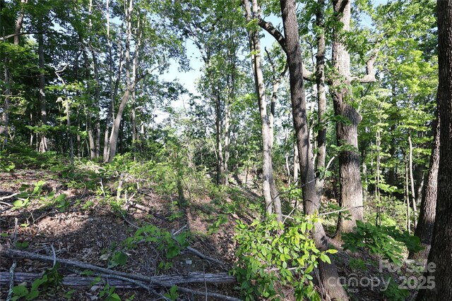 9999 Crestview Dr Unit D-3, Black Mountain, NC 28711