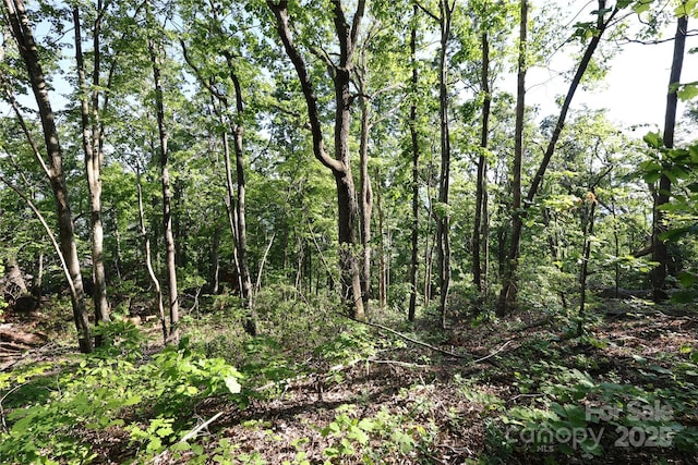 9999 Crestview Dr Unit D-3, Black Mountain, NC 28711