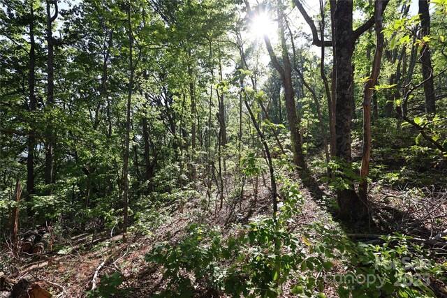 9999 Crestview Dr Unit D-3, Black Mountain, NC 28711