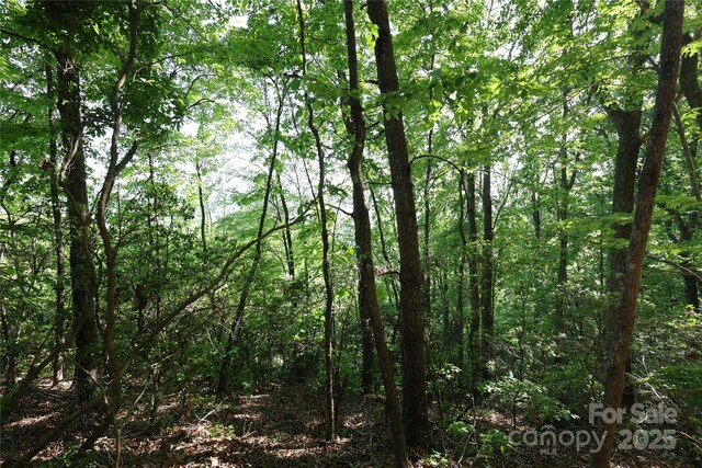 9999 Crestview Dr Unit D-3, Black Mountain, NC 28711