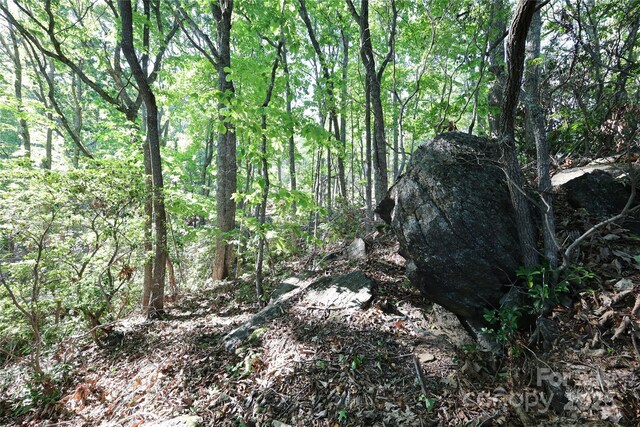 9999 Crestview Dr Unit D-3, Black Mountain, NC 28711