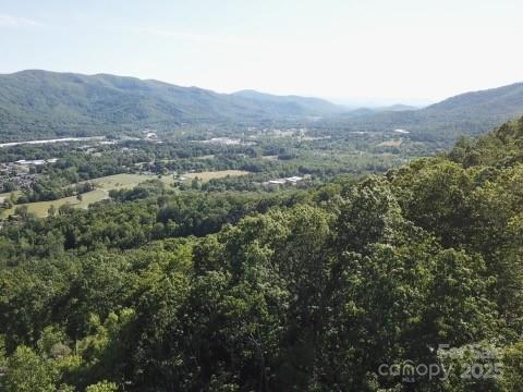 9999 Crestview Dr Unit D-3, Black Mountain, NC 28711