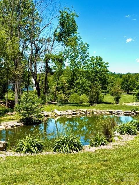 0 Saddle Club Ln Unit 28/29, Hendersonville, NC 28739 - photo 4