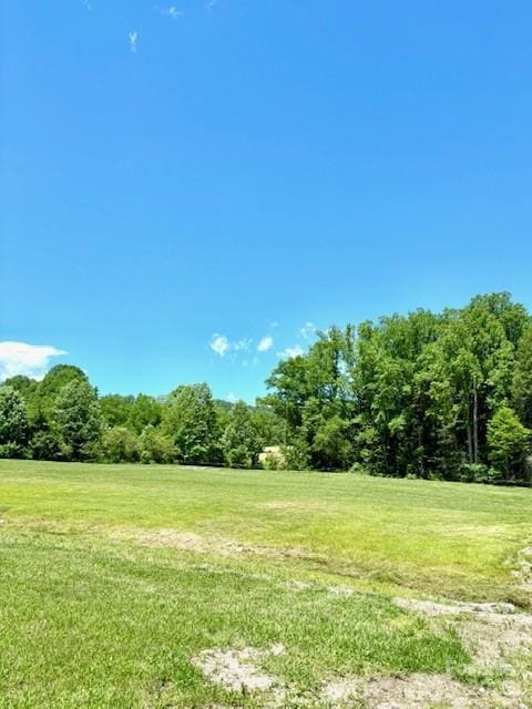 0 Saddle Club Ln Unit 28/29, Hendersonville, NC 28739 - photo 8