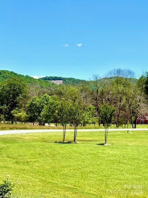 0 Saddle Club Ln Unit 28/29, Hendersonville, NC 28739 - photo 9