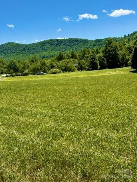 0 Saddle Club Ln Unit 28/29, Hendersonville, NC 28739 - photo 10