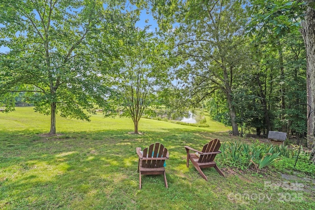 6350 Mount Pleasant Rd S, Concord, NC 28025 - view of green lawn
