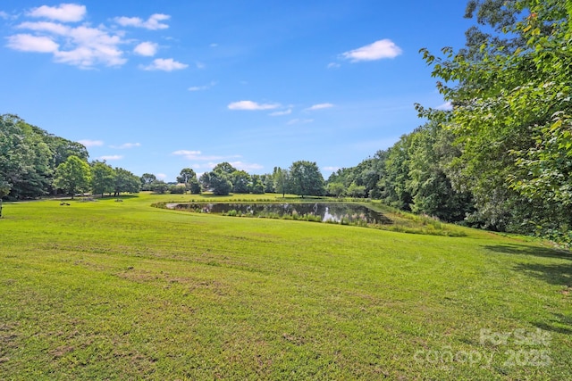 6350 Mount Pleasant Rd S, Concord, NC 28025 - surrounding community featuring a water view and a yard