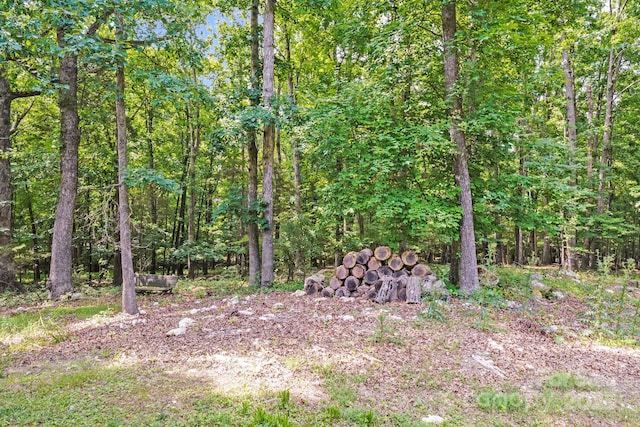 6350 Mount Pleasant Rd S, Concord, NC 28025 - view of tree filled area