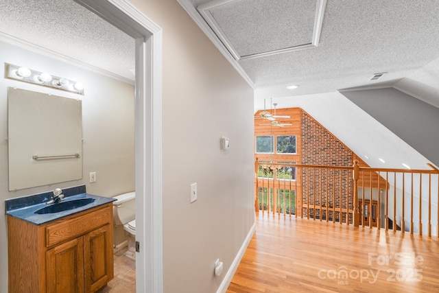 6350 Mount Pleasant Rd S, Concord, NC 28025 - corridor with a textured ceiling, a sink, wood finished floors, lofted ceiling, and crown molding