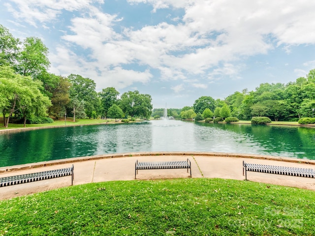 1600 Princeton Ave, Charlotte, NC 28209 - water view