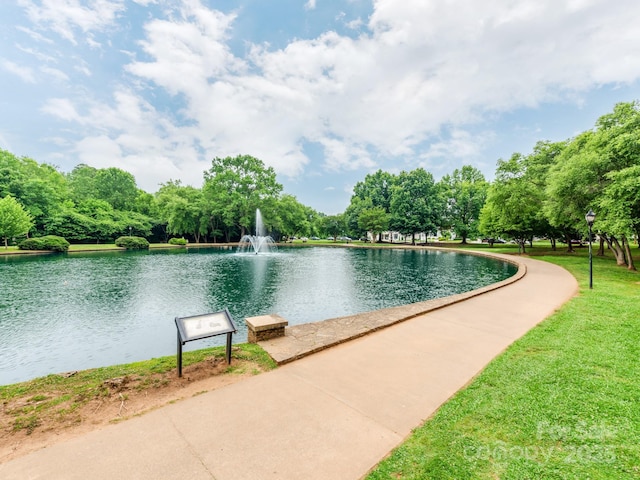 1600 Princeton Ave, Charlotte, NC 28209 - water view