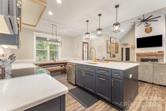 5215 Star Magnolia Ct, Clover, SC 29710 - kitchen with stainless steel dishwasher, a sink, light wood-style flooring, a warm lit fireplace, and light countertops