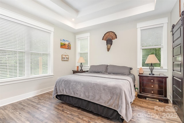 5215 Star Magnolia Ct, Clover, SC 29710 - bedroom with a raised ceiling, baseboards, wood finished floors, and multiple windows