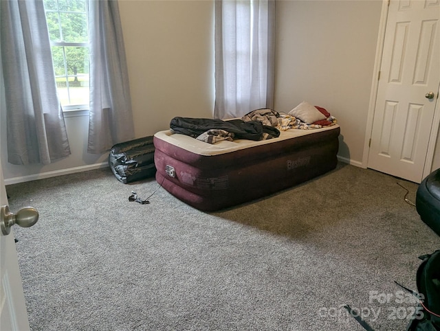 936 New Camp Creek Church Rd Unit 11, Kings Mountain, NC 28086 - bedroom with carpet and baseboards