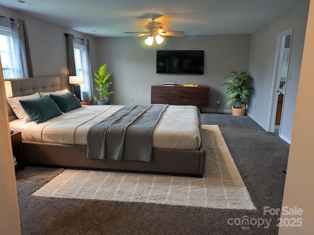 936 New Camp Creek Church Rd, Kings Mountain, NC 28086 - bedroom with carpet and a ceiling fan