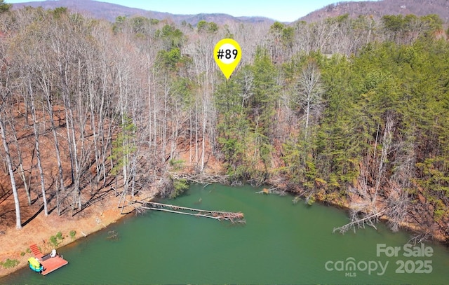 00 Searcy Ct Lot 89, Lake Lure, NC 28746