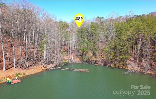 00 Searcy Ct Lot 89, Lake Lure, NC 28746