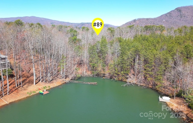 00 Searcy Ct Lot 89, Lake Lure, NC 28746