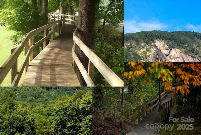 00 Searcy Ct Lot 89, Lake Lure, NC 28746