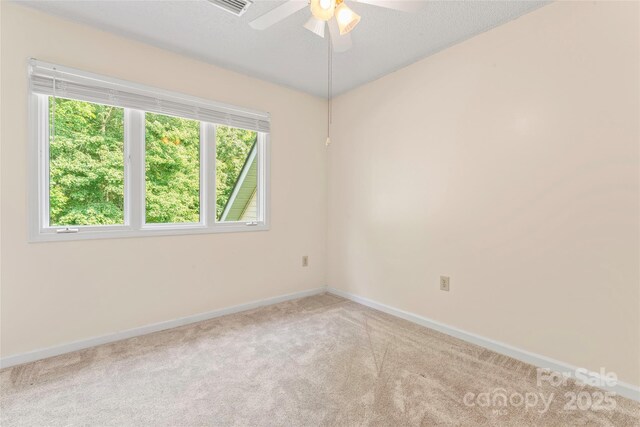 4499 Briarcreek Rd, Maiden, NC 28650 - photo 27
