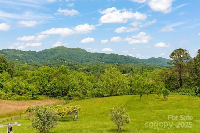 112 Melody St, Clyde, NC 28721 - view of mountain background featuring a heavily wooded area