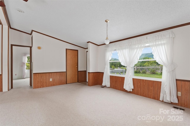 112 Melody St, Clyde, NC 28721 - carpeted empty room with a wainscoted wall, wooden walls, plenty of natural light, and crown molding